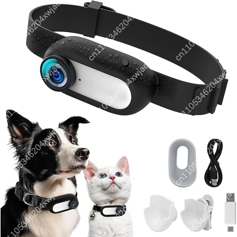 Caméra portable pour animaux d - Outdoor Adventure Video avis et prix